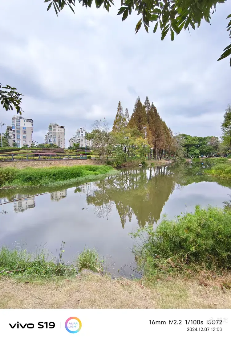 醉美原生态公园一福州南江滨 景点:水杉→雕塑→原生态公园 冬月7日